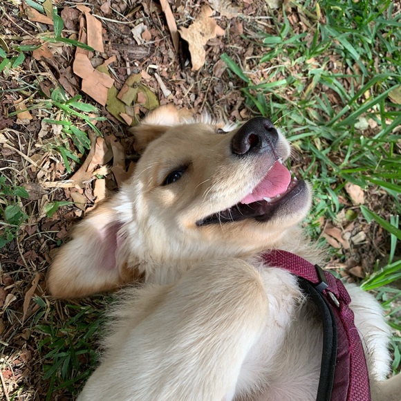 Meet your Posher, Alex - Picture 1 of 1